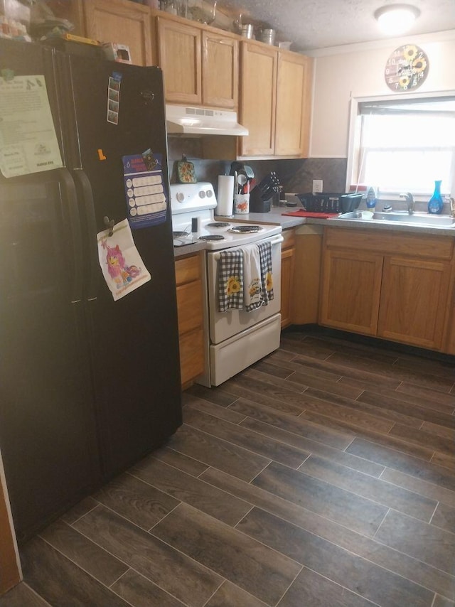 250 Ore Mines Rd, Owingsville, KY 40360 - kitchen featuring wood finish floors, electric range, freestanding refrigerator, a sink, and under cabinet range hood