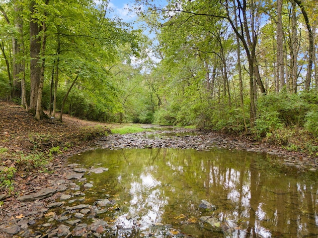 property view of water featuring a wooded view