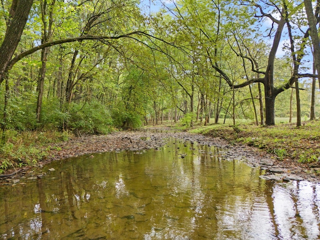 property view of water with a forest view