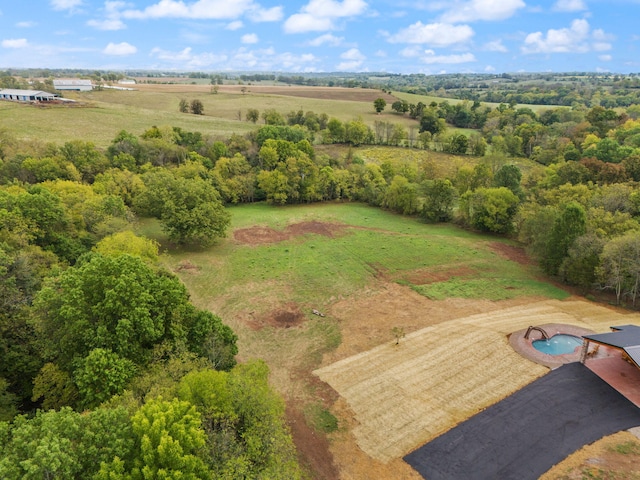 drone / aerial view