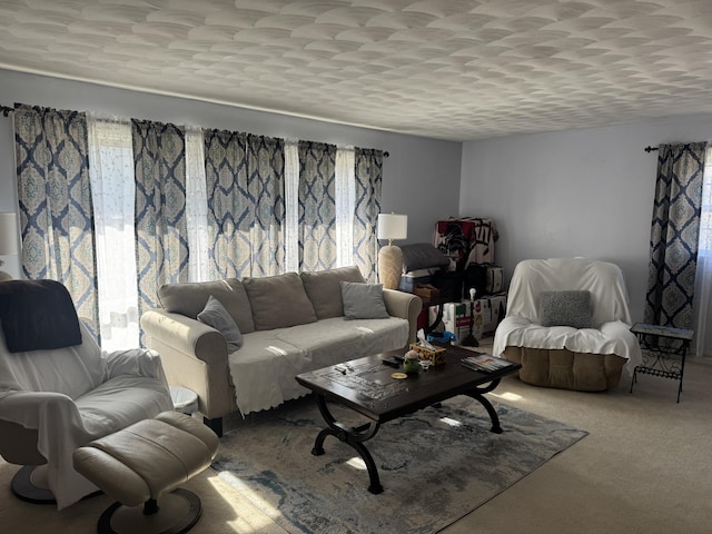 carpeted living area with plenty of natural light