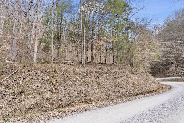 3860 Newfound Rd, Oneida, KY 40972 - view of dirt / gravel road