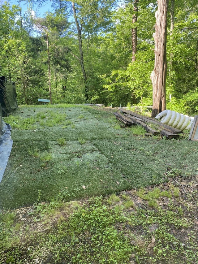 3860 Newfound Rd, Oneida, KY 40972 - view of yard