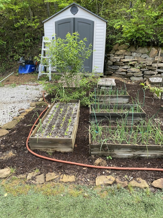 3860 Newfound Rd, Oneida, KY 40972 - view of yard with a storage shed, a garden, and an outbuilding