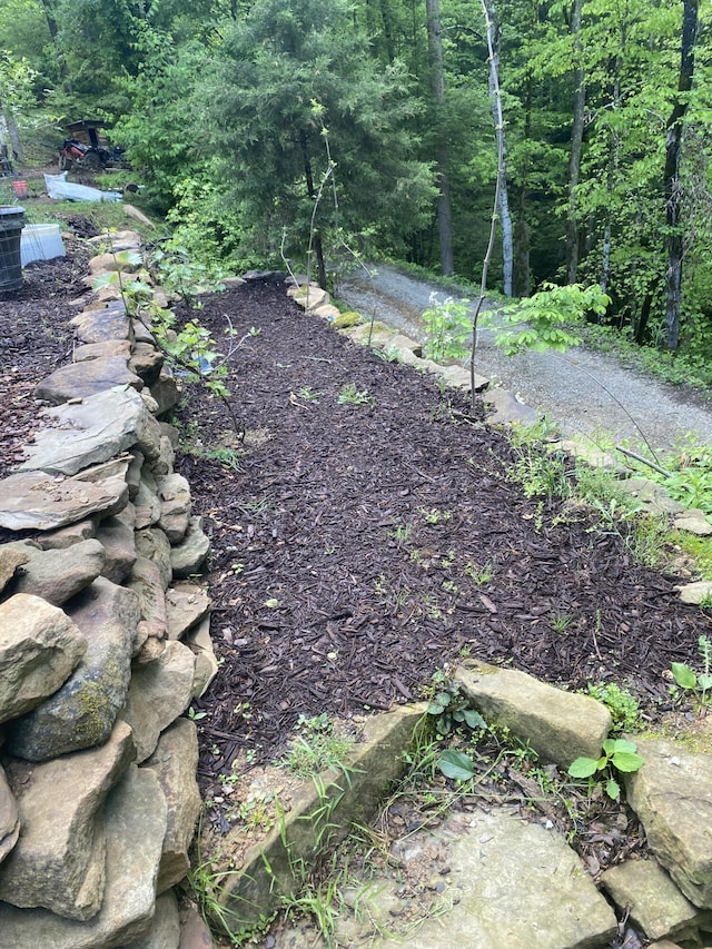 3860 Newfound Rd, Oneida, KY 40972 - view of yard featuring a wooded view