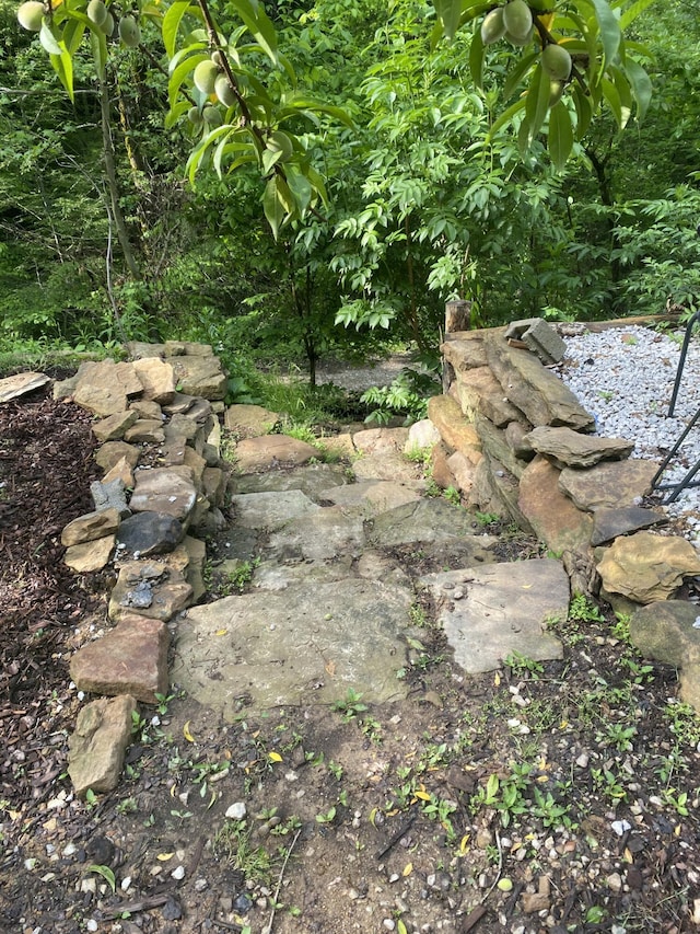 3860 Newfound Rd, Oneida, KY 40972 - exterior view