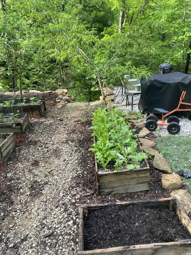 3860 Newfound Rd, Oneida, KY 40972 - view of yard featuring a vegetable garden