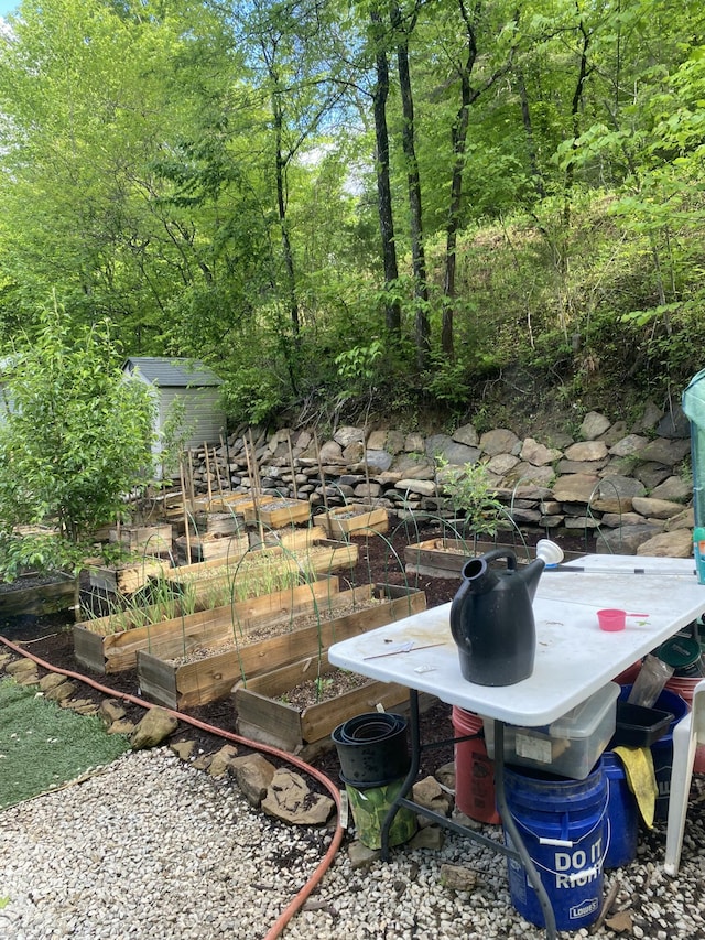 3860 Newfound Rd, Oneida, KY 40972 - view of yard with a garden and a storage shed