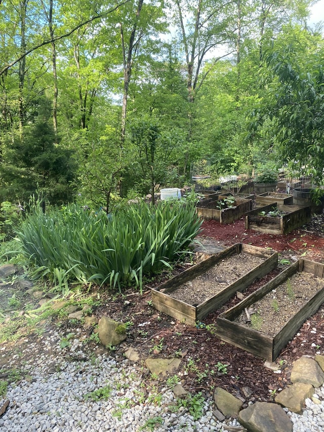 3860 Newfound Rd, Oneida, KY 40972 - view of yard with a vegetable garden