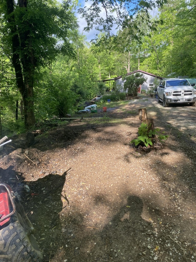 3860 Newfound Rd, Oneida, KY 40972 - view of yard