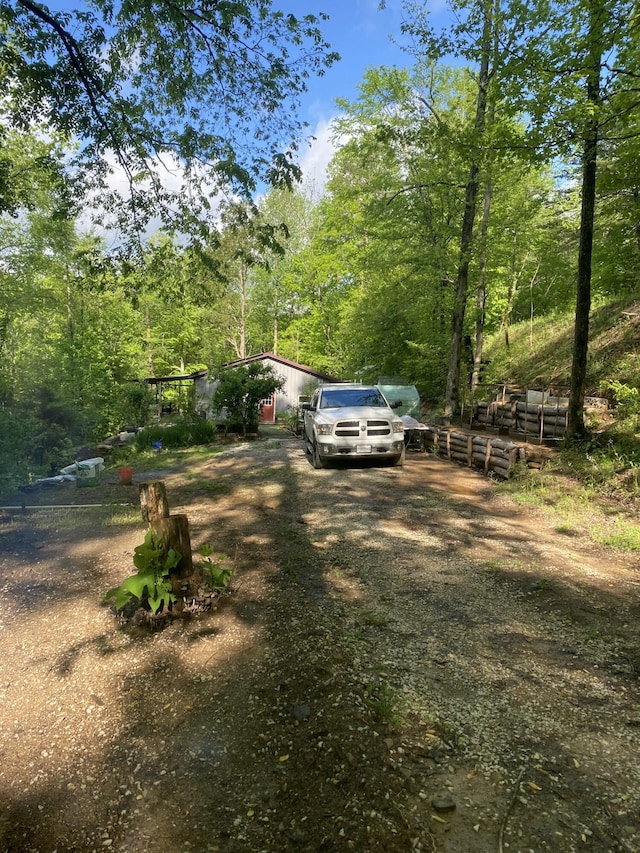 3860 Newfound Rd, Oneida, KY 40972 - view of yard with dirt driveway