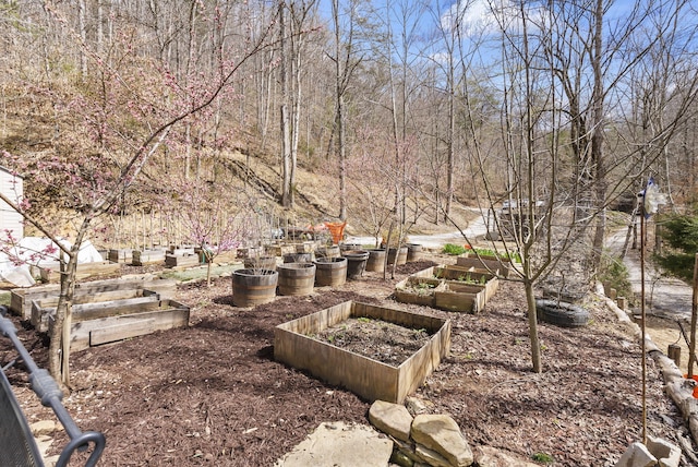 3860 Newfound Rd, Oneida, KY 40972 - view of yard with a vegetable garden