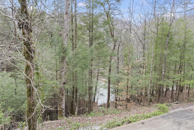 3860 Newfound Rd, Oneida, KY 40972 - view of wooded area