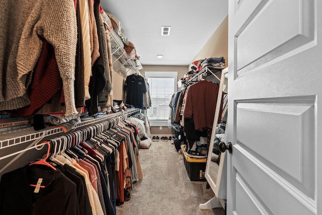 spacious closet with carpet flooring and visible vents