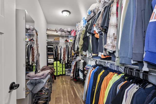 spacious closet featuring wood finished floors