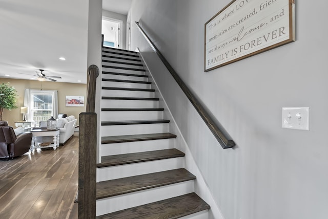 staircase featuring ceiling fan and wood finished floors