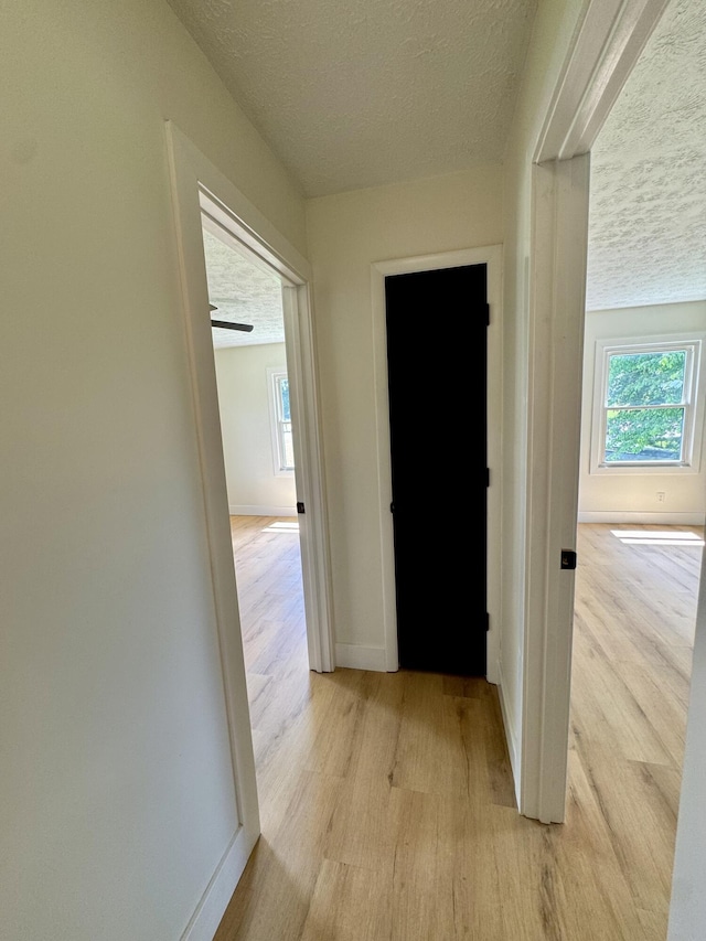 236 Walnut Ave, Somerset, KY 42503 - hall with light wood finished floors, a textured ceiling, and baseboards