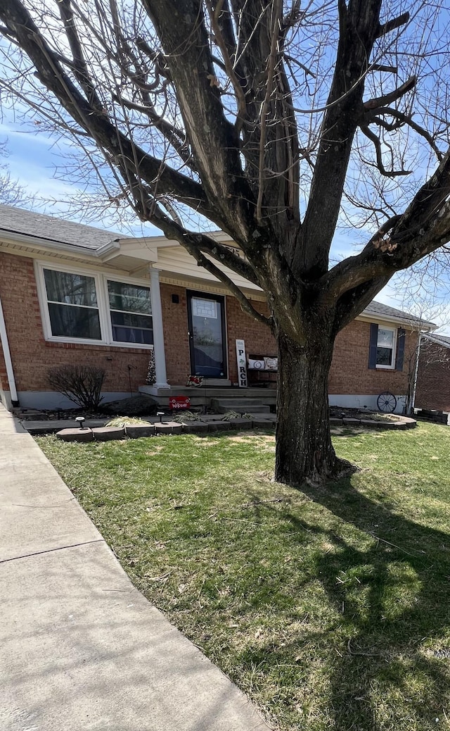 view of front of house featuring brick siding and a front lawn