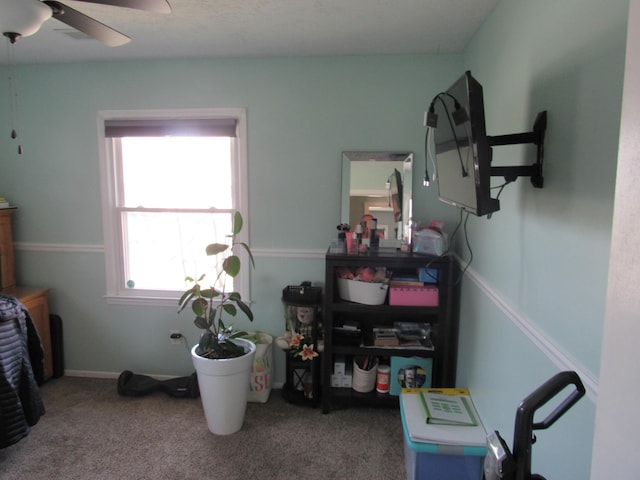 interior space with carpet and ceiling fan