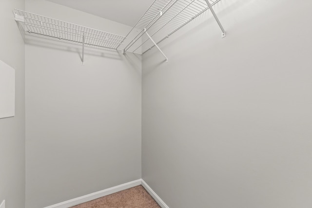 walk in closet with light colored carpet