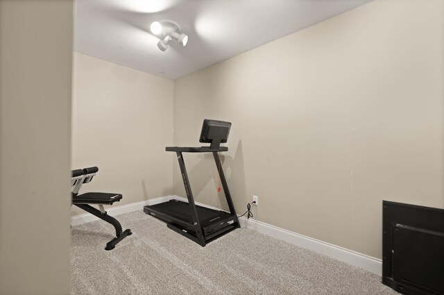 1841 Peter Cave Rd, Mckee, KY 40447 - workout room featuring carpet flooring, rail lighting, and baseboards