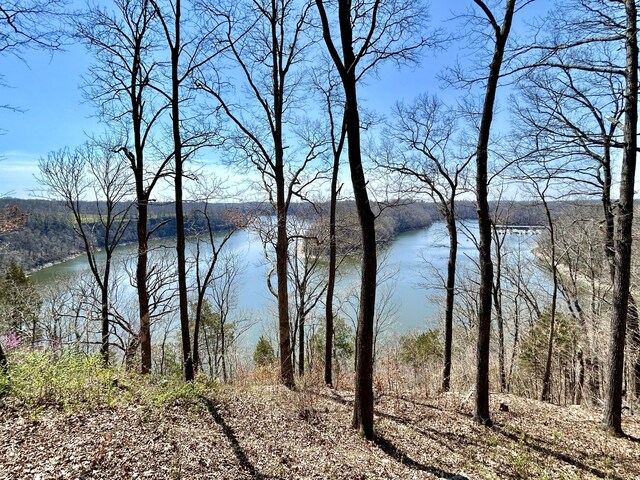 3101 Simpson Dr, Somerset, KY 42503 - view of water feature featuring a wooded view