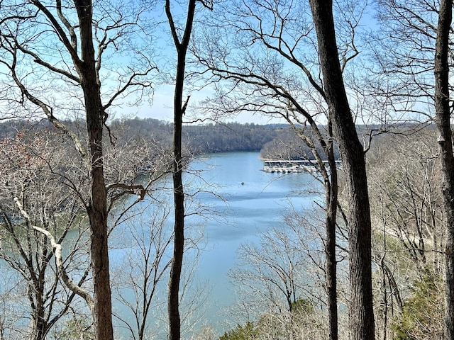3101 Simpson Dr, Somerset, KY 42503 - property view of water with a view of trees