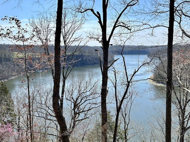 3101 Simpson Dr, Somerset, KY 42503 - view of water feature
