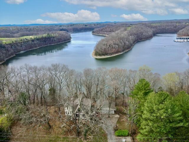 bird's eye view featuring a forest view and a water view