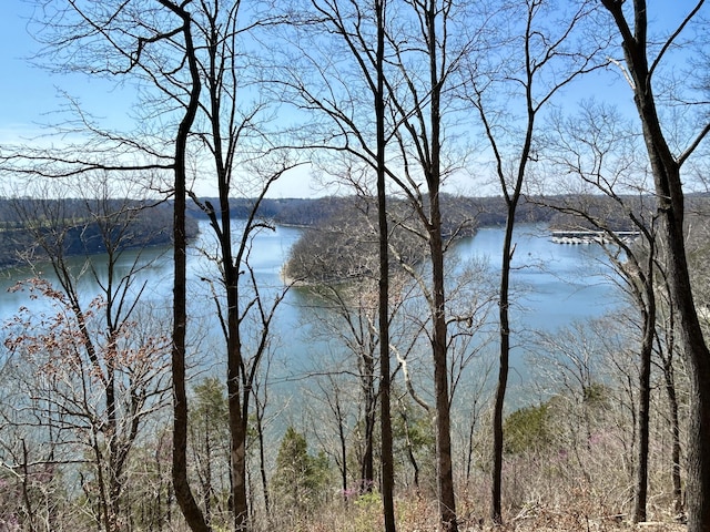 3101 Simpson Dr, Somerset, KY 42503 - water view with a forest view