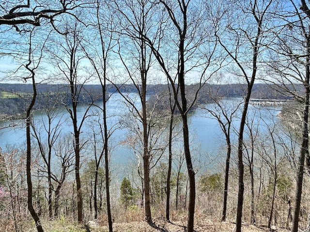 3101 Simpson Dr, Somerset, KY 42503 - view of water feature featuring a forest view