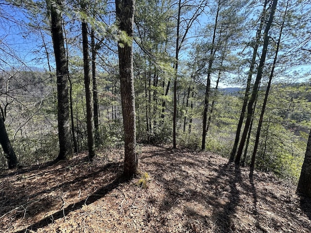 63 Lake Dr, Campton, KY 41301
