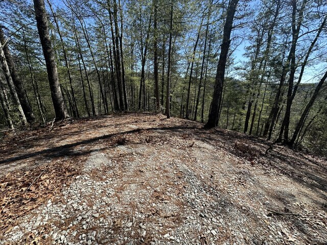 63 Lake Dr, Campton, KY 41301