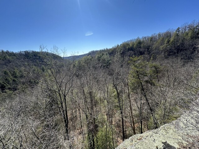 63 Lake Dr, Campton, KY 41301