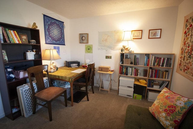 office space featuring a textured ceiling and carpet flooring