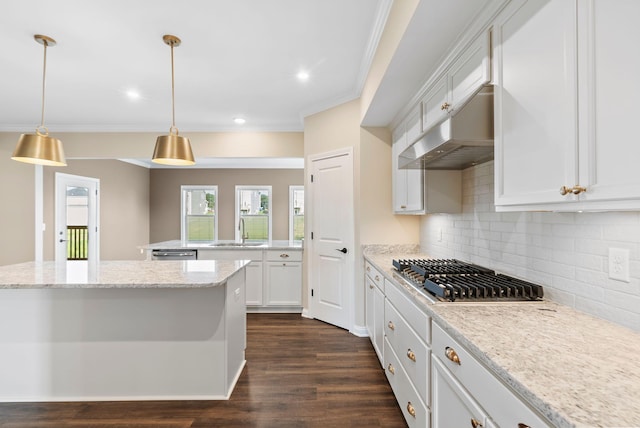 kitchen featuring tasteful backsplash, under cabinet range hood, dark wood finished floors, stainless steel appliances, and a sink