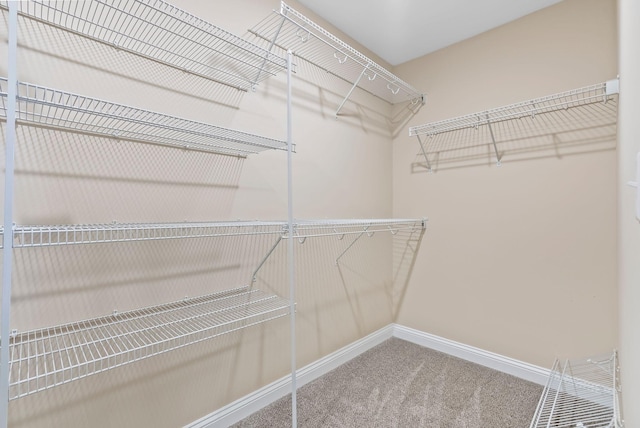 spacious closet with visible vents and carpet floors