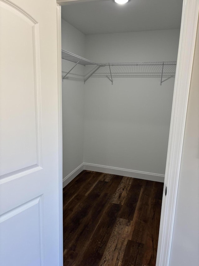 walk in closet featuring dark wood-style floors