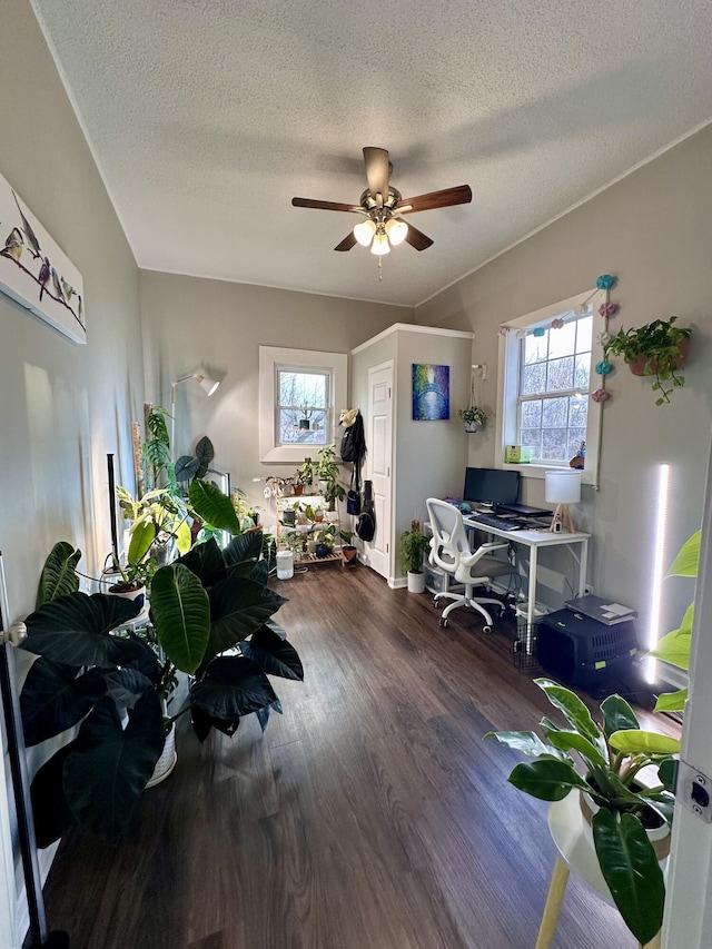 office featuring a textured ceiling, ceiling fan, and wood finished floors