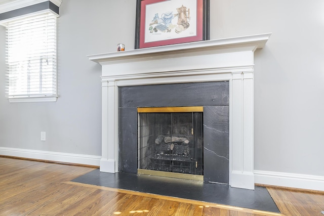 room details featuring a fireplace with flush hearth, wood finished floors, and baseboards