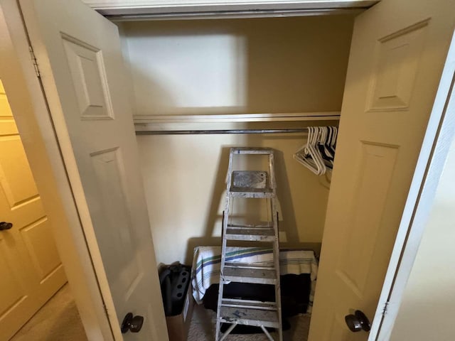 view of closet