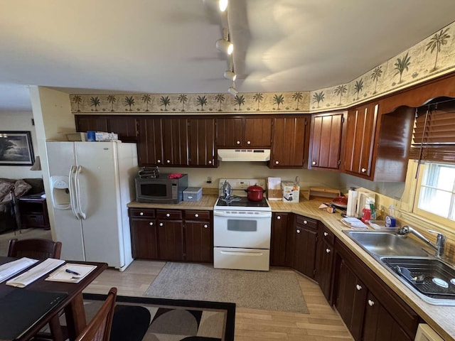 kitchen featuring light wood finished floors, under cabinet range hood, light countertops, white appliances, and a sink