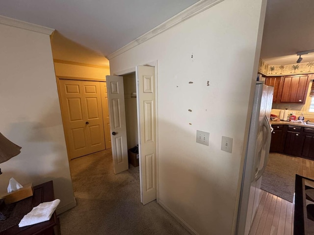 hallway with baseboards, light carpet, and crown molding