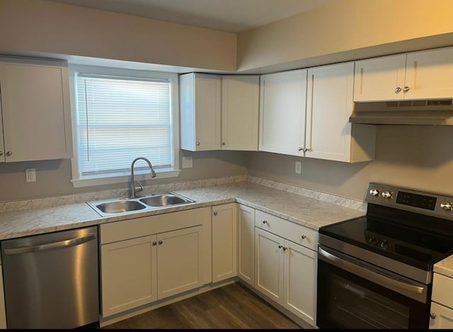 kitchen featuring under cabinet range hood, stainless steel appliances, light countertops, and a sink