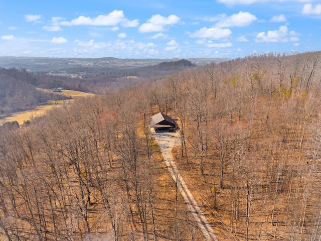 bird's eye view with a view of trees