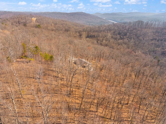 view of mountain feature featuring a forest view