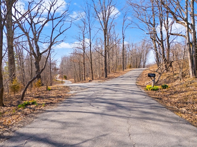 view of road