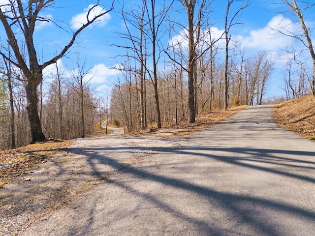 view of road