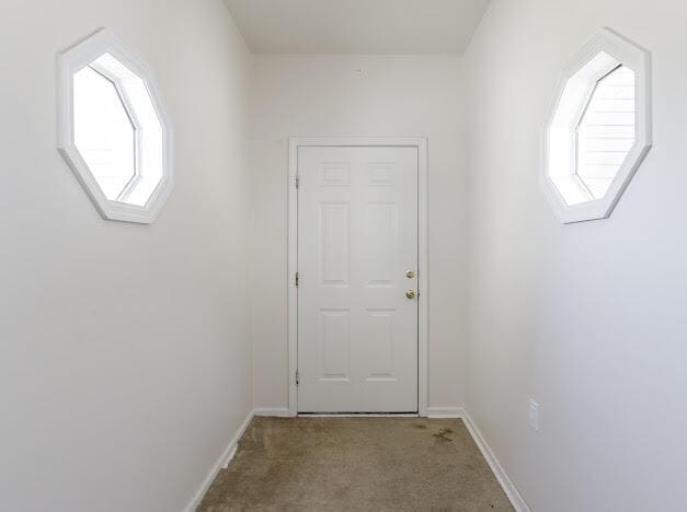 entryway with carpet flooring, baseboards, and a wealth of natural light