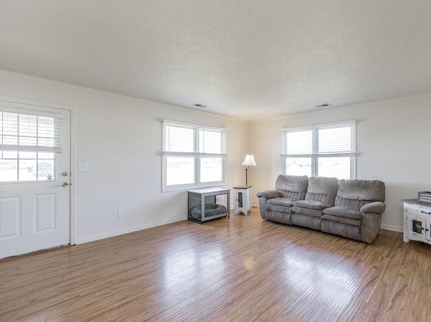 living room featuring a healthy amount of sunlight, a textured ceiling, and light wood-style flooring